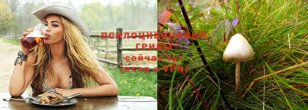 ГАЛЛЮЦИНОГЕННЫЕ ГРИБЫ Беломорск