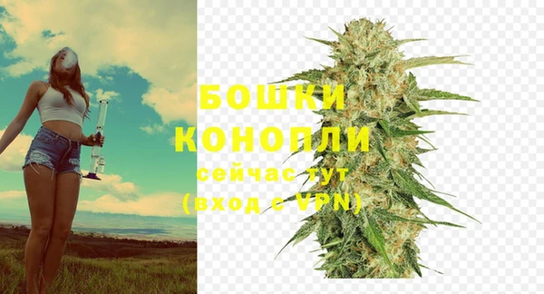 соль курить ск Белокуриха