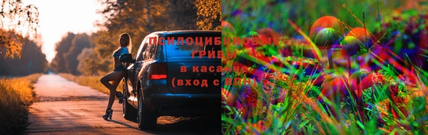 соль курить ск Белокуриха