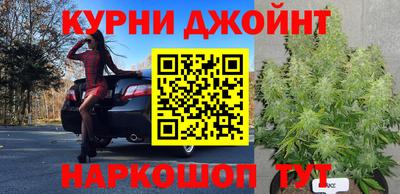 крисы Братск