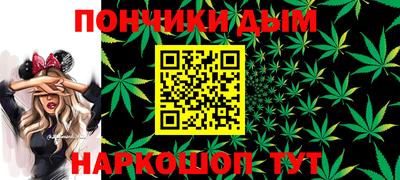 крисы Братск