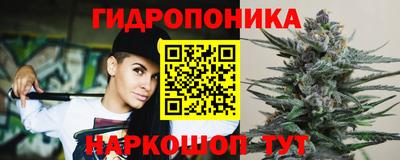 apvp Брянск