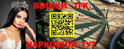 крисы Братск