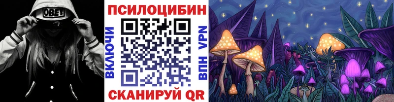 Псилоцибиновые грибы GOLDEN TEACHER Бузулук
