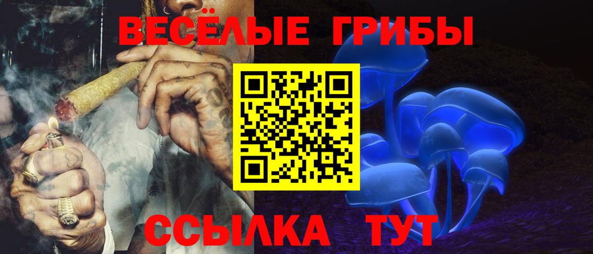 Псилоцибиновые грибы Psilocybe  Вход с VPN  продажа наркотиков  Бузулук 